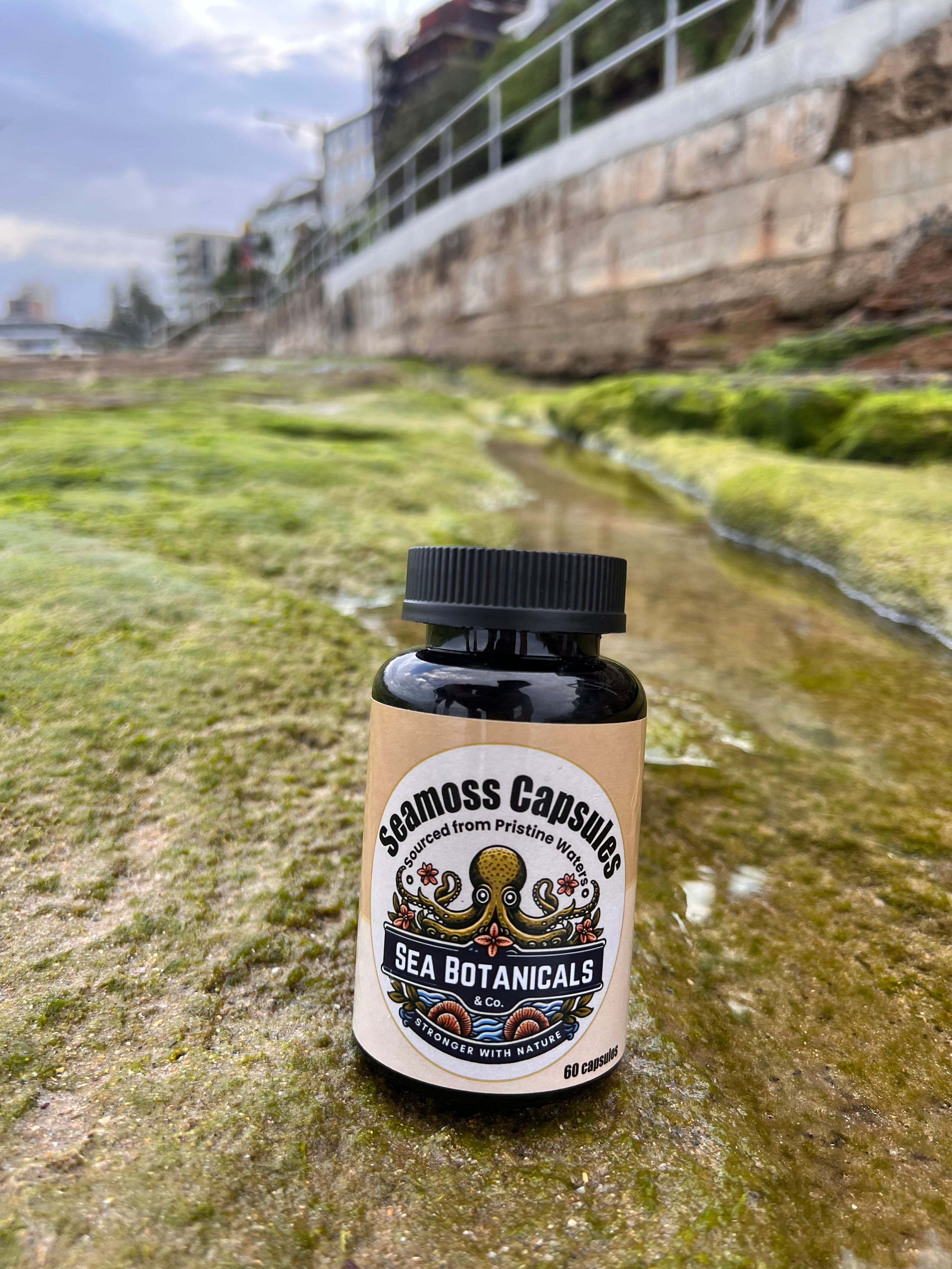 Premium Sea Moss Capsules